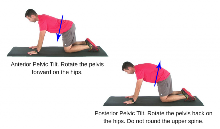 The Best Exercises For Acute Low Back Pain