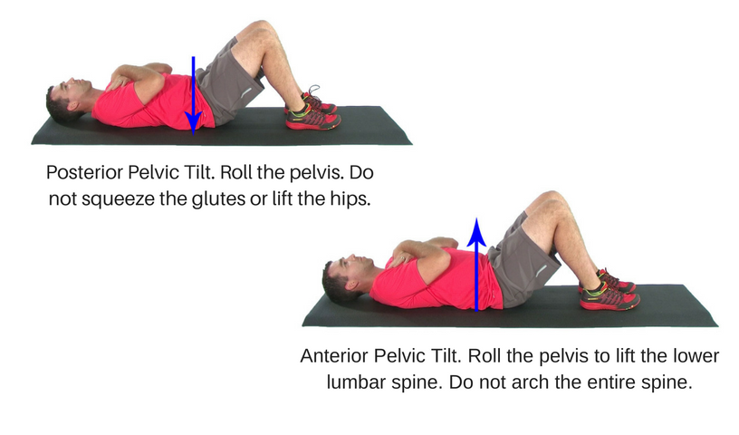 Lower back stretches 2024 for anterior pelvic tilt