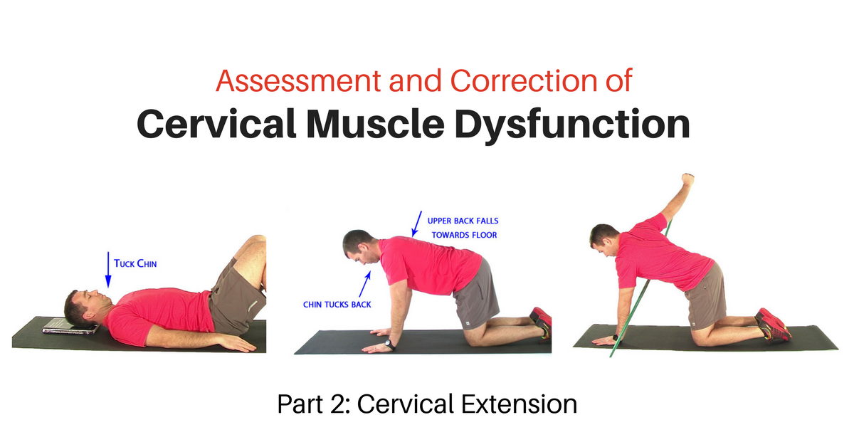 Exercise Progressions for the Cervical Extensors