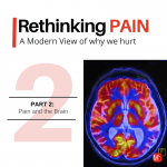 PAIN: A Modern View On Why We Hurt (Part 2: Pain and the Brain)
