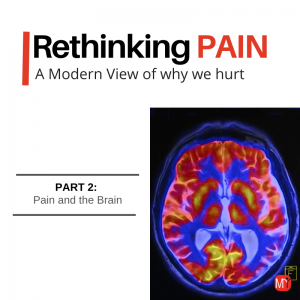 pain and the brain