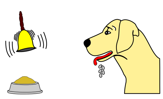 pain and learning. the role of classical conditioning with pain.