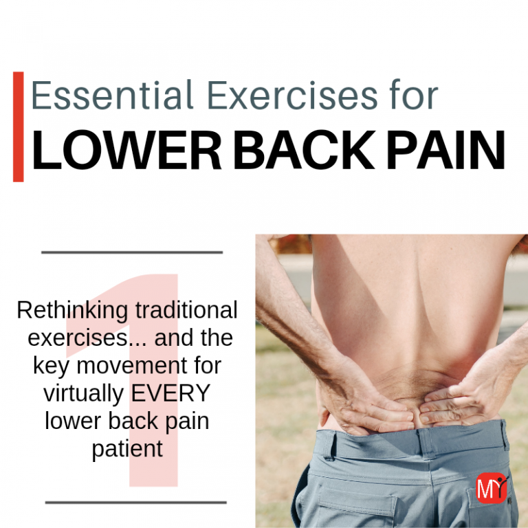 Essential Exercises for Lower Back Pain - My Rehab Connection