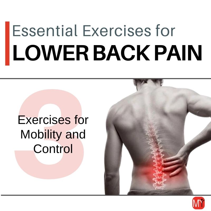 Essential Exercises For Lower Back Mobility