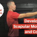 Exercises Progressions For Scapular Control