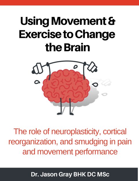 Using Exercise To Change The Brain - My Rehab Connection