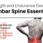 Lower Back Strength Exercises