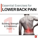 Lower Back Strength Exercises