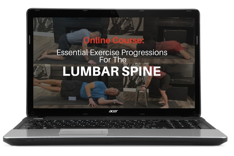 lower back exercises course