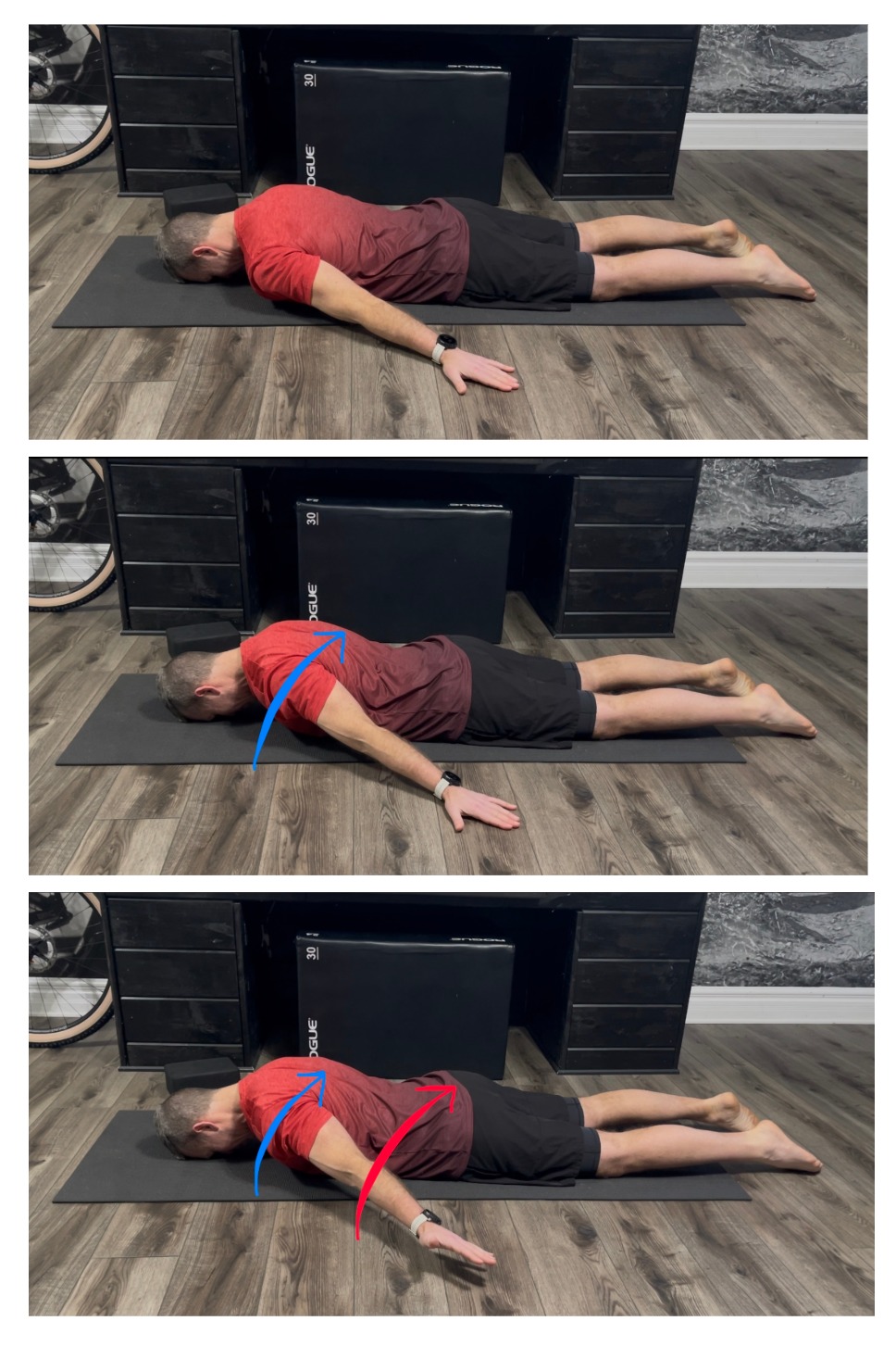 Scapula Retraction Rehab Progressions