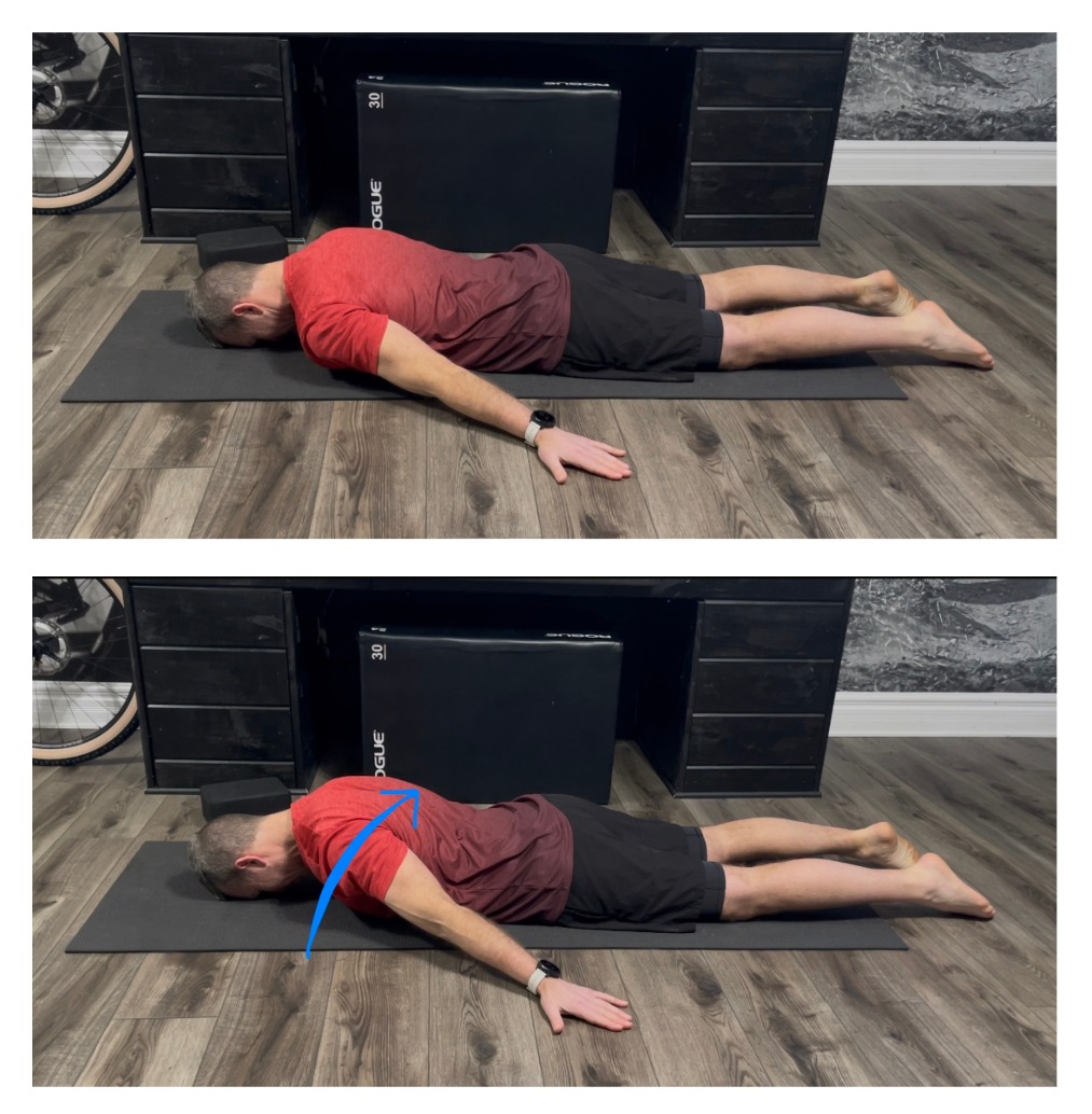 Scapula retraction rehab progressions